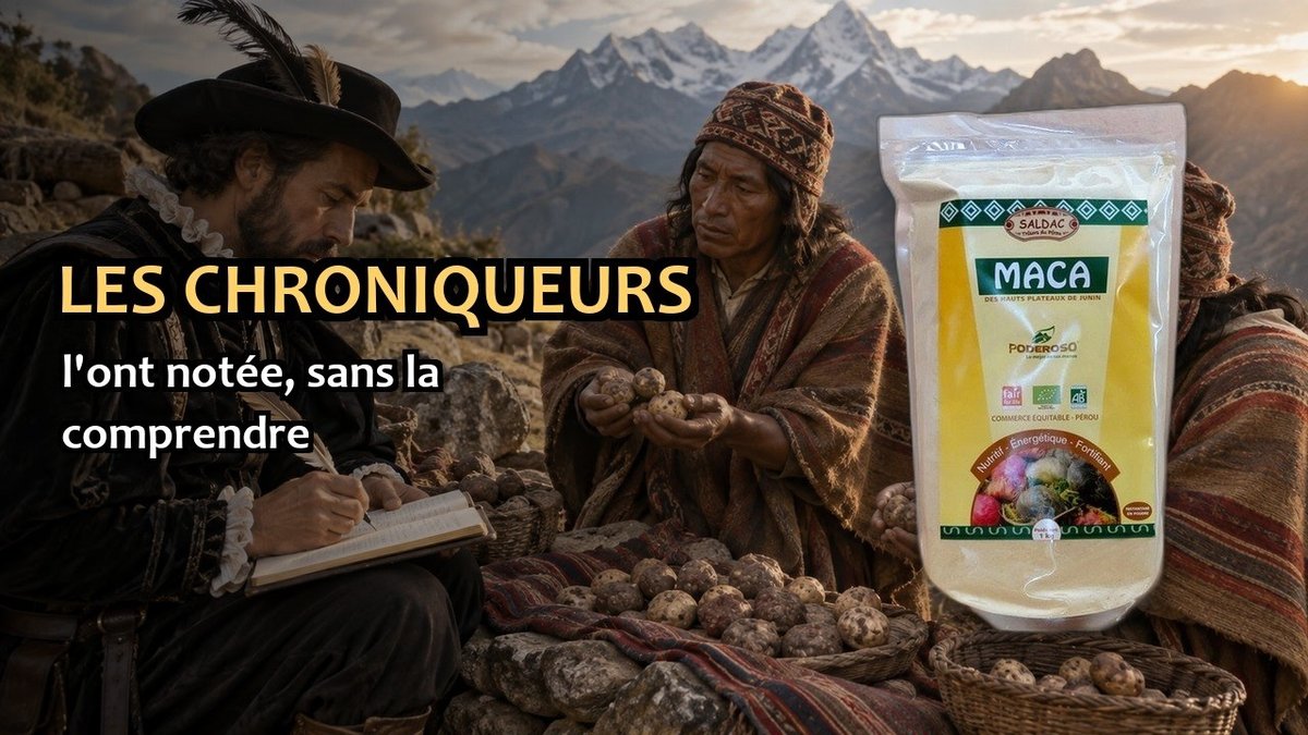 Vidéo Maca bio poudre 1 kg Saldac Maca Bio poudre Pederoso Paris Herba Barona