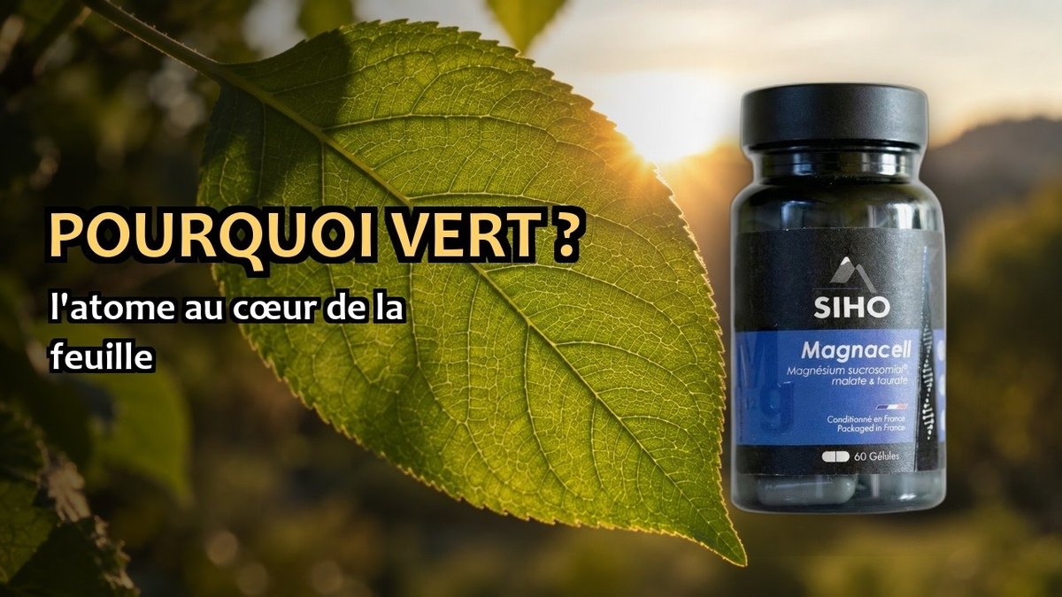 Vidéo Magnacell SIHO Paris Herba Barona