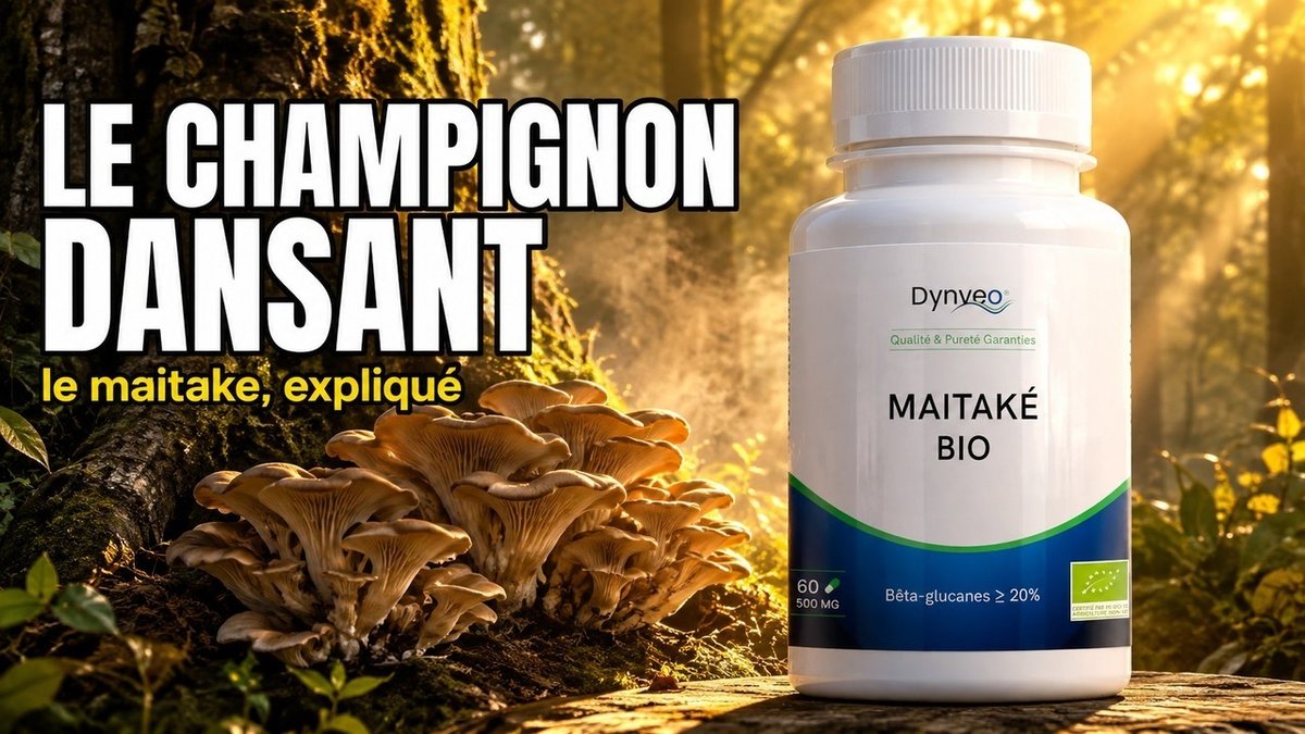 Vidéo Maitake bio Paris Herba Barona