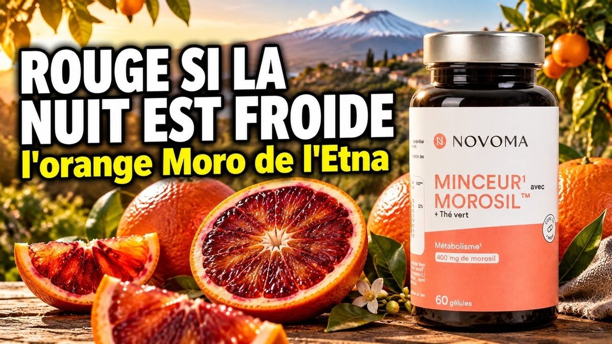 Βίντεο Morosil – Novoma Παρίσι Herba Barona