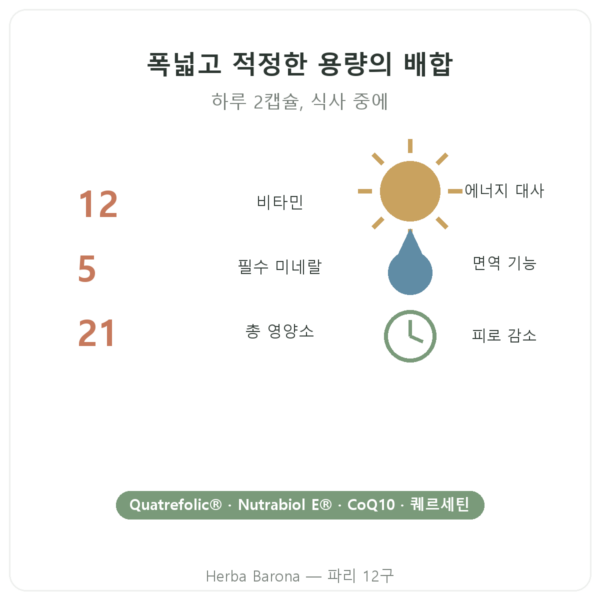 Nutripure 멀티비타민 60캡슐 장점과 데이터 Paris Herba Barona