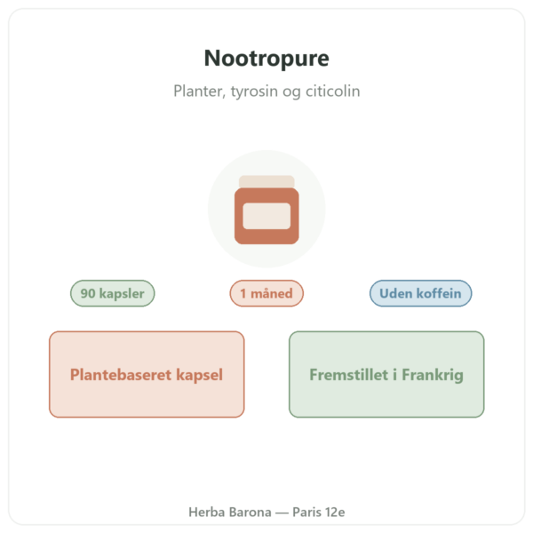 Nootropure Nutripure 90 kapsler (1 måned) præsentation Paris Herba Barona