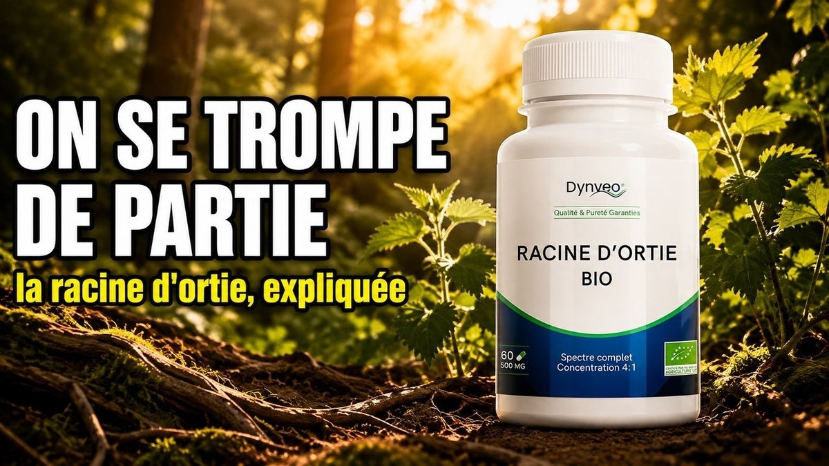 Vidéo Ortie racine Racine d’Ortie Bio Paris Herba Barona