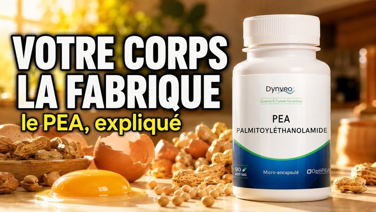 Vidéo Palmitoyléthanolamide PEA Dynveo 30 Gél. 400 mg Paris Herba Barona