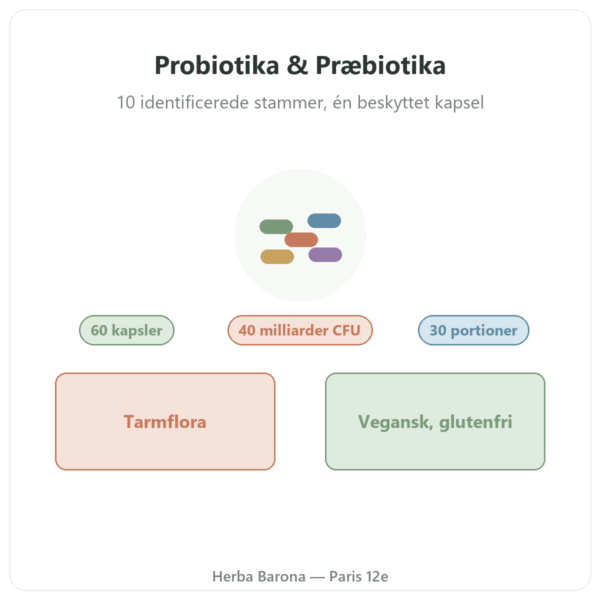 Greenwhey Probiotika & Præbiotika 60 kapsler præsentation Paris Herba Barona