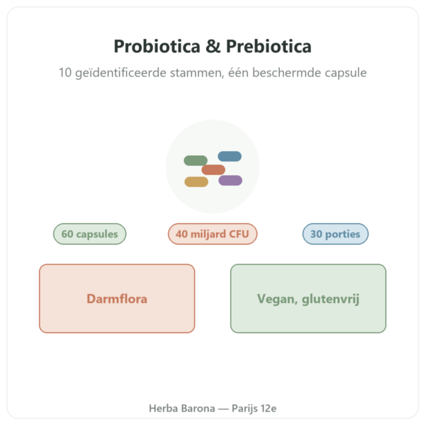 Greenwhey Probiotica & Prebiotica 60 capsules presentatie Paris Herba Barona