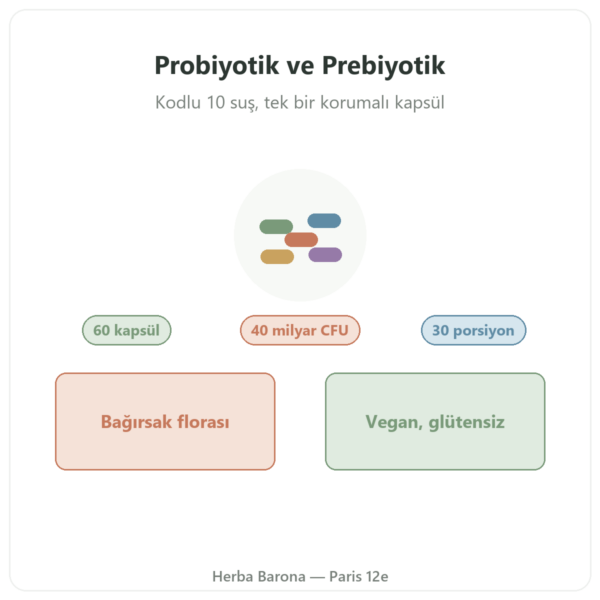 Greenwhey Probiyotikler ve Prebiyotikler 60 kapsül tanıtım Paris Herba Barona