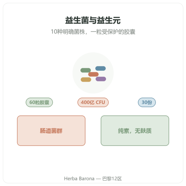 Greenwhey 益生菌与益生元 60粒胶囊 产品介绍 Paris Herba Barona