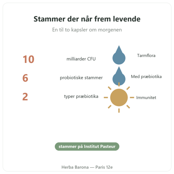 Pure Bio² Probiotika Nutripure 60 kapsler fordele og fakta Paris Herba Barona