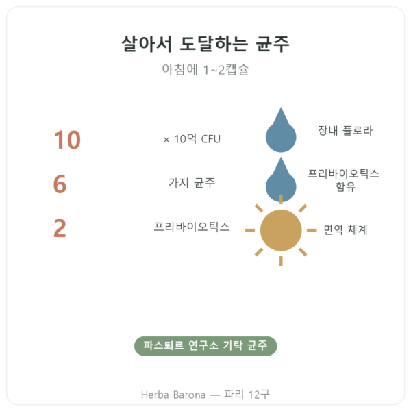 Nutripure Pure Bio² 프로바이오틱스 – 60캡슐 장점과 데이터 Paris Herba Barona