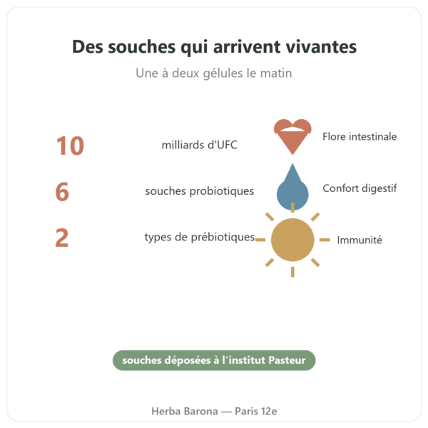 Pure Bio² probiotiques 60 gélules Nutripure bienfaits Paris Herba Barona