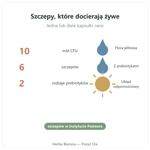 Pure Bio² Probiotyki Nutripure 60 kapsułek korzyści i dane Paris Herba Barona