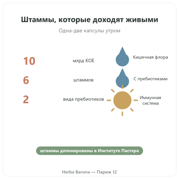 Pure Bio² Пробиотики Nutripure – 60 капсул польза и цифры Paris Herba Barona