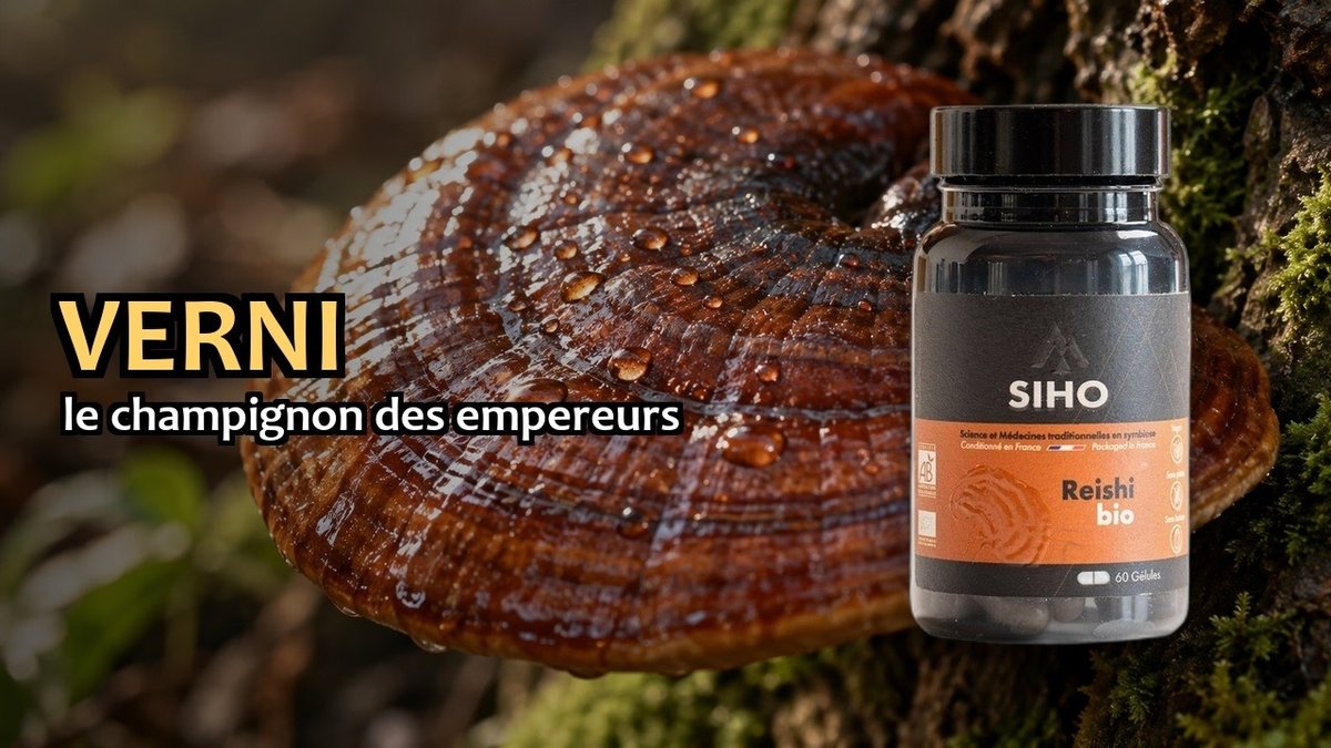 Vidéo Reishi extrait bio SIHO Paris Herba Barona