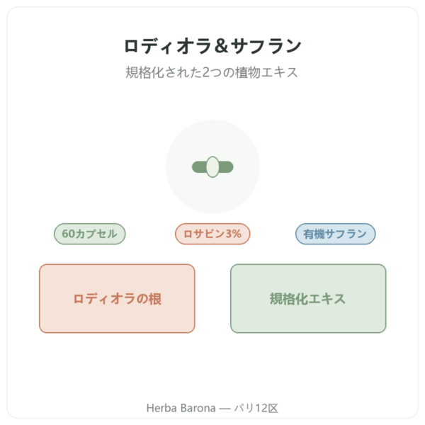 Nutripure ロディオラ・ロゼア&サフラン 60カプセル 商品紹介 Paris Herba Barona