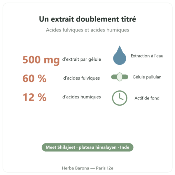 Shilajit pur Dynveo 500 mg 60 gélules bienfaits et chiffres Paris Herba Barona