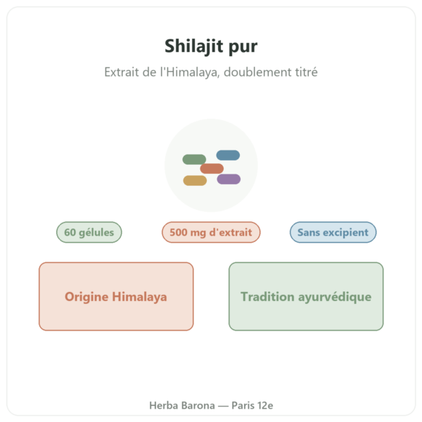 Shilajit pur Dynveo 500 mg 60 gélules présentation Paris Herba Barona