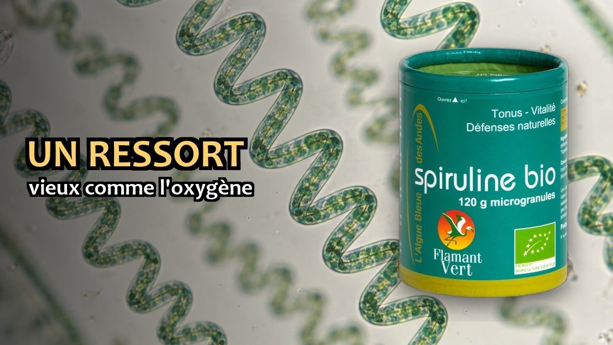 Vidéo Spiruline micro-granules Flamant Vert Paris Herba Barona