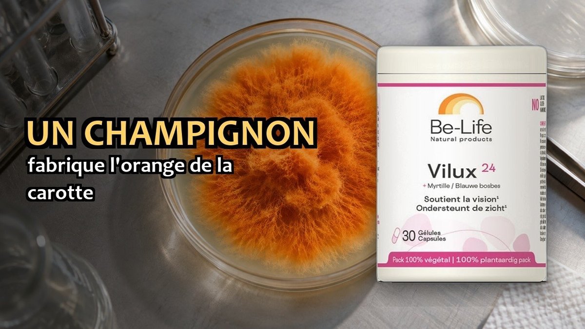 Vidéo Vilux 24 Be-Life Paris Herba Barona