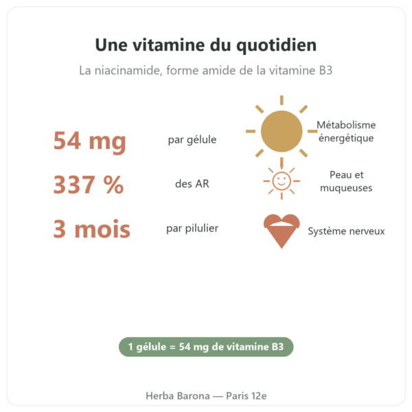 Vitamine B3 niacinamide Nutripure 54 mg 90 gélules bienfaits et chiffres Paris Herba Barona