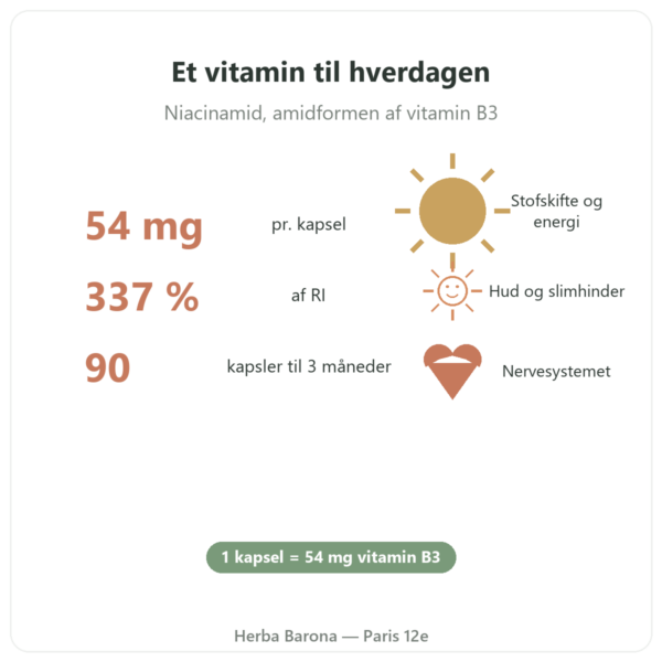 Vitamin B3 (niacinamid) Nutripure 90 kapsler fordele og tal Paris Herba Barona