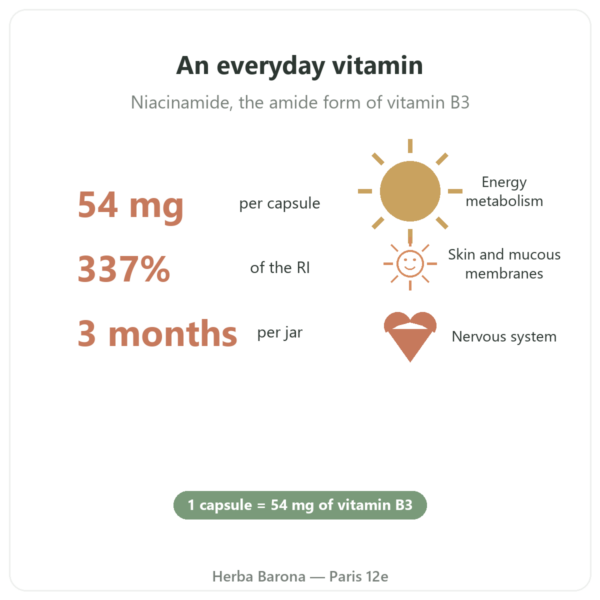 Vitamin B3 (niacinamide) Nutripure 90 capsules benefits and key figures Paris Herba Barona