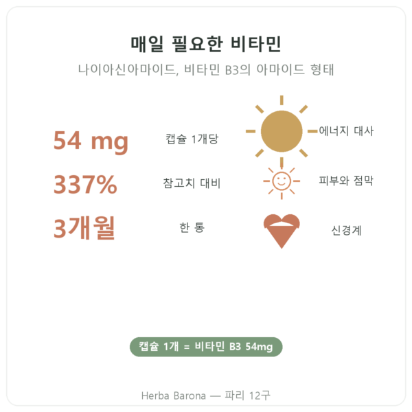 Nutripure 비타민 B3(나이아신아마이드) 90캡슐 장점과 수치 Paris Herba Barona