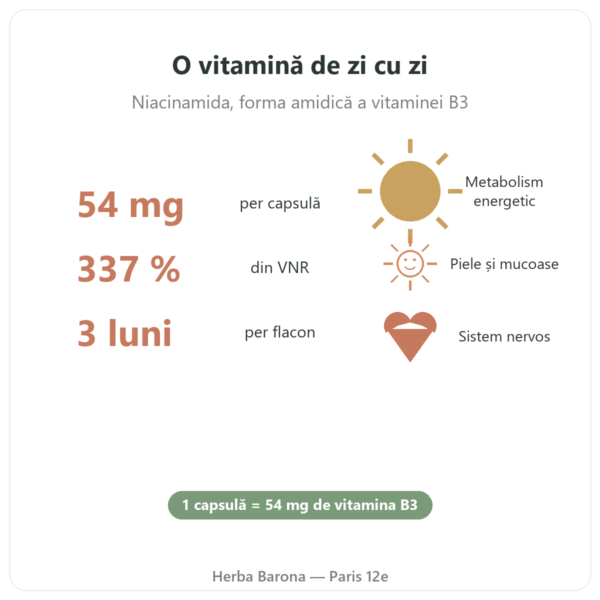Vitamina B3 (niacinamidă) Nutripure 90 capsule beneficii și cifre Paris Herba Barona