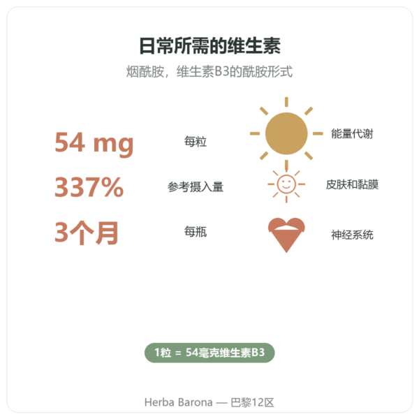 Nutripure 维生素B3(烟酰胺)90粒胶囊 益处与数据 Paris Herba Barona
