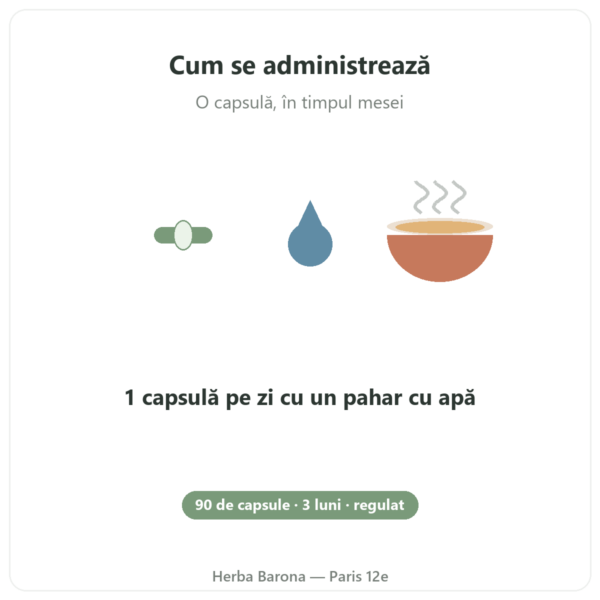 Vitamina B3 (niacinamidă) Nutripure 90 capsule mod de utilizare Paris Herba Barona