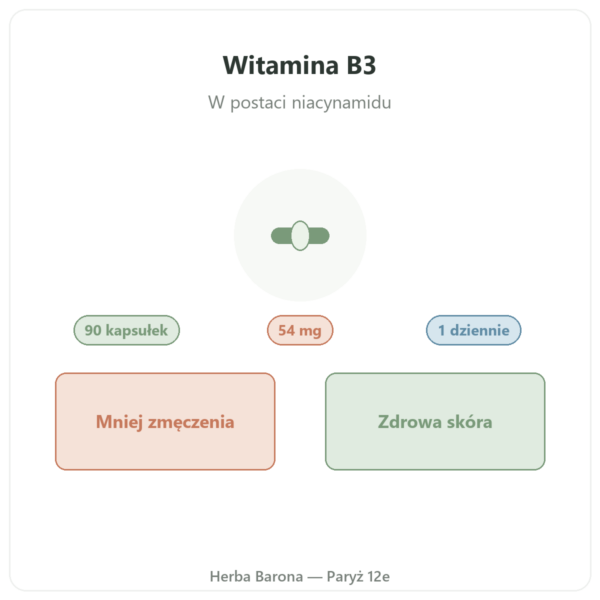 Witamina B3 (niacynamid) Nutripure 90 kapsułek prezentacja Paris Herba Barona