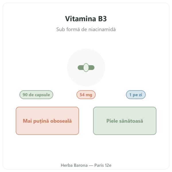 Vitamina B3 (niacinamidă) Nutripure 90 capsule prezentare Paris Herba Barona