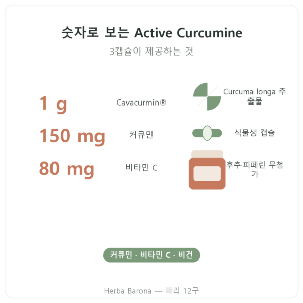 Nutripure Active Curcumine 커큐민 90캡슐 핵심 수치 Paris Herba Barona