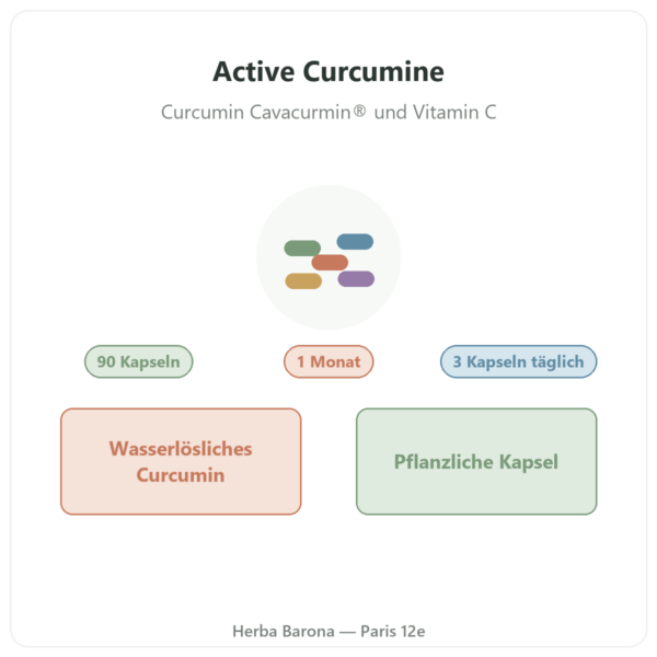 Active Curcumine Nutripure 90 Kapseln Präsentation Paris Herba Barona