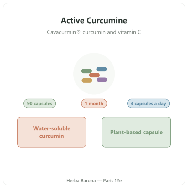 Active Curcumine Nutripure 90 capsules presentation Paris Herba Barona