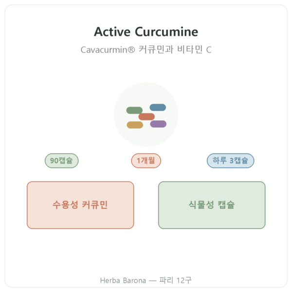 Nutripure Active Curcumine 커큐민 90캡슐 제품 소개 Paris Herba Barona