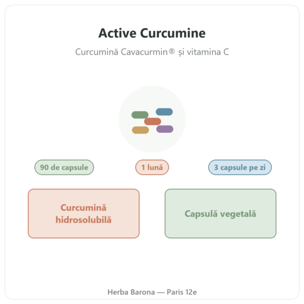 Active Curcumine Nutripure 90 capsule prezentare Paris Herba Barona