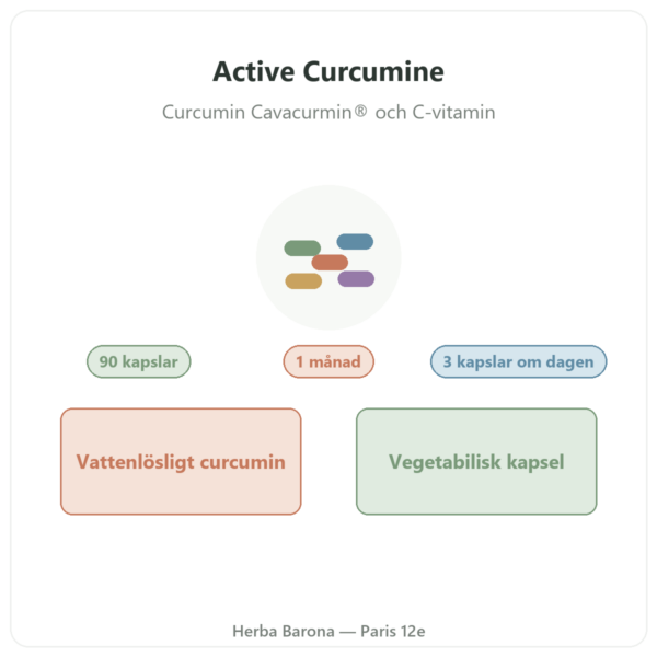 Active Curcumine Nutripure 90 kapslar presentation Paris Herba Barona