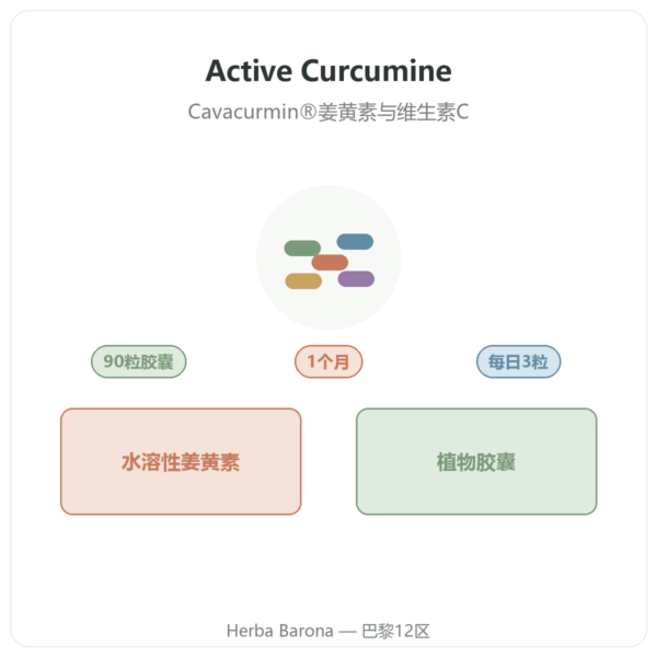 Nutripure Active Curcumine 姜黄素 90粒胶囊 产品介绍 Paris Herba Barona