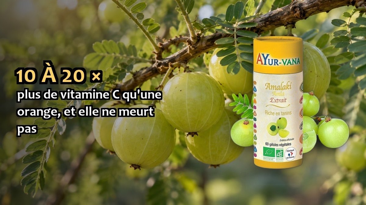 Vidéo Amalaki Ayur-vana Amalaki Bio Paris Herba Barona