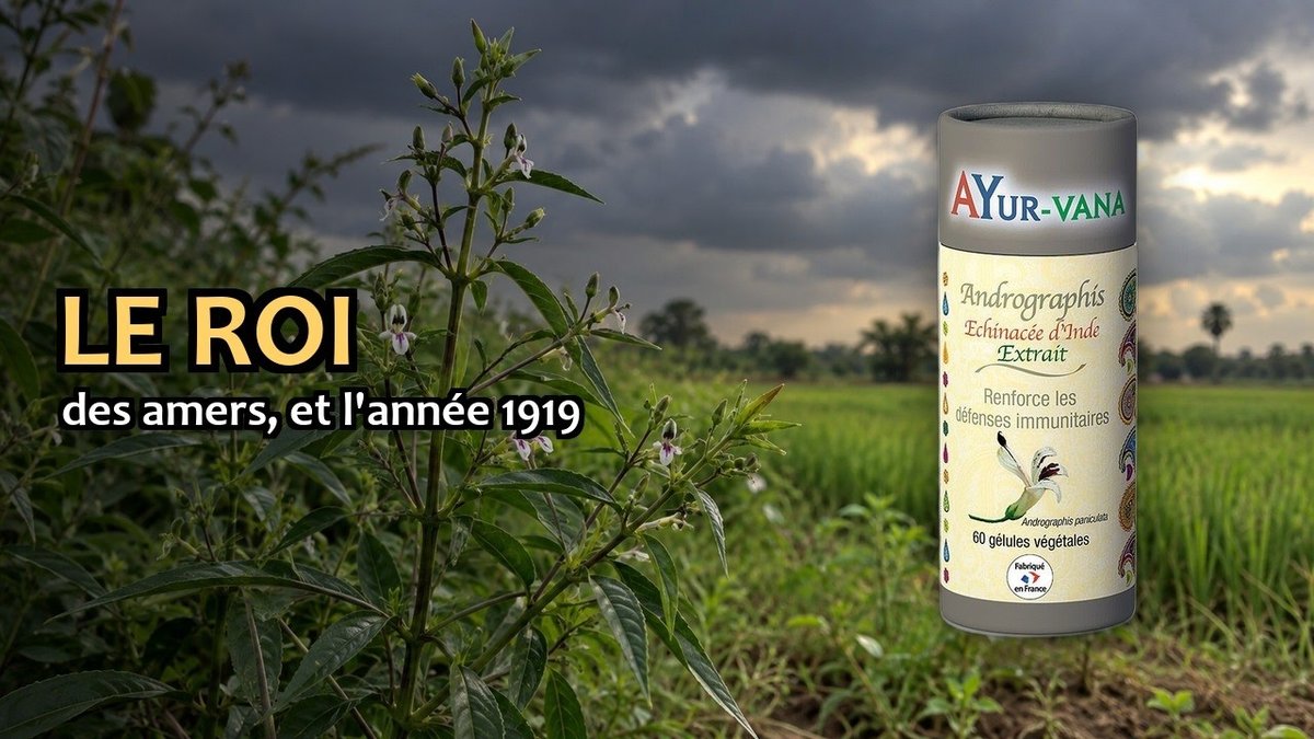 Vidéo Andrographis Ayur-vana Paris Herba Barona