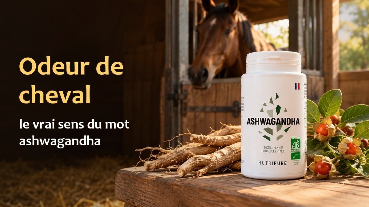 Vidéo Ashwagandha KSM-66 bio Nutripure Ashwagandha KSM-66® bio Nutripure 60 gélules Paris Herba Barona