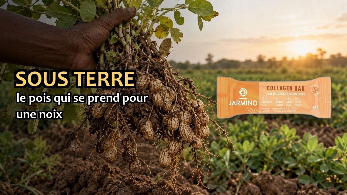 Vidéo Barre de collagène cacahuète Jarmino Paris Herba Barona