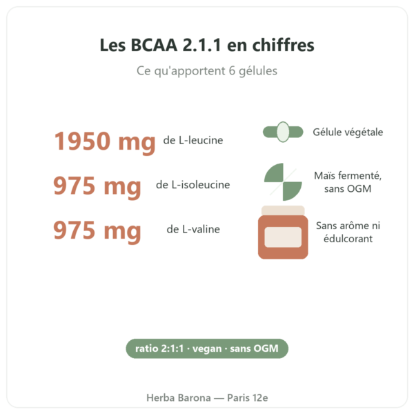 BCAA 2.1.1 Nutripure 180 gélules bienfaits et chiffres Paris Herba Barona