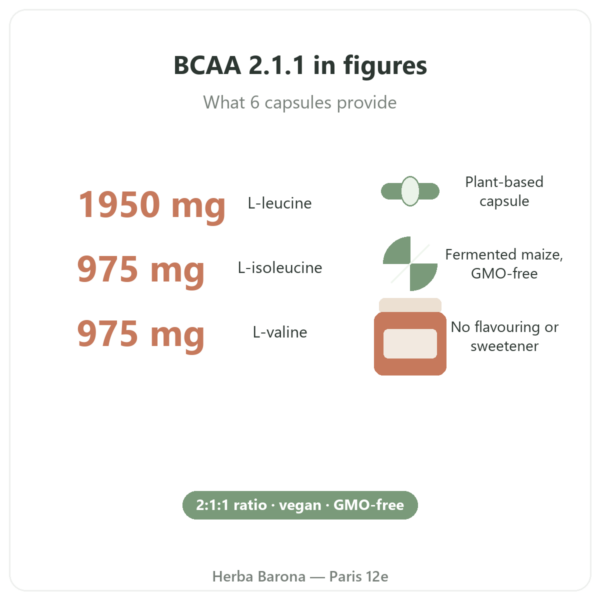 BCAA 2.1.1 Nutripure 180 capsules benefits and key figures Paris Herba Barona