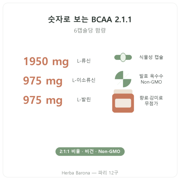 BCAA 2.1.1 Nutripure 180 캡슐 특징과 주요 수치 Paris Herba Barona