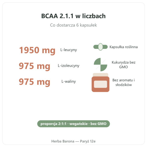 BCAA 2.1.1 Nutripure 180 kapsułek zalety i liczby Paris Herba Barona