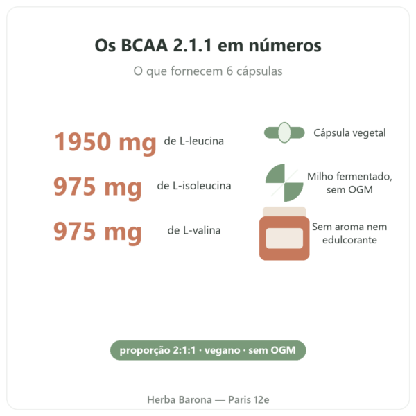 BCAA 2.1.1 Nutripure 180 cápsulas benefícios e números-chave Paris Herba Barona
