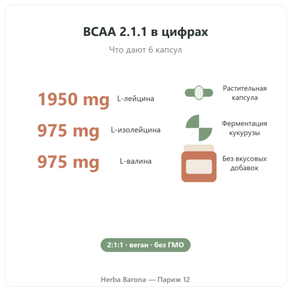 BCAA 2.1.1 Nutripure, 180 капсул характеристики и ключевые цифры Paris Herba Barona