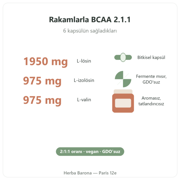BCAA 2.1.1 Nutripure 180 Kapsül özellikler ve rakamlar Paris Herba Barona
